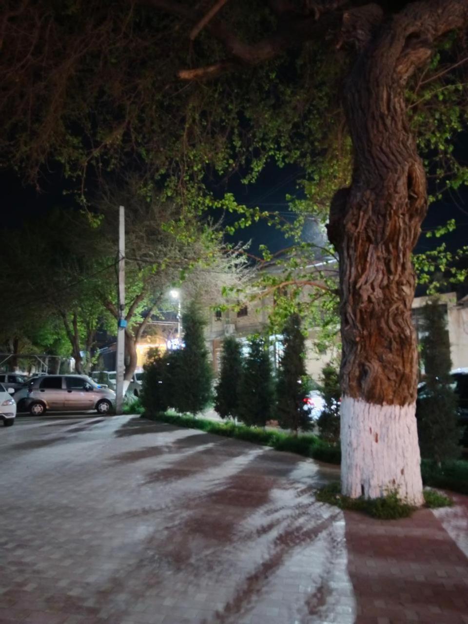Gulsara Hostel Самарканд Екстериор снимка
